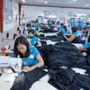 工人队伍建设成为提升竞争力并迈向可持续发展目标的重要“钥匙”。图自越通社