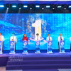 5号油汀太阳能发电厂项目正式开工。图自越通社
