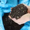 胡椒出口保持超过25%的增长势头。图自越通社