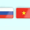 越俄全面战略伙伴关系