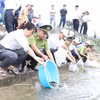 在海防市昆山—劫泊世界遗产区的昆山湖边，代表们在集会结束后放鱼，丰富水资源。图自越通社