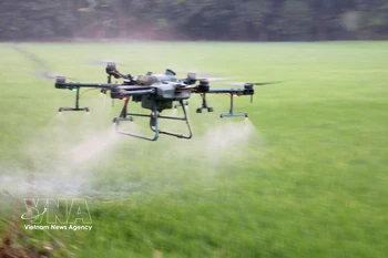 利用无人机喷洒农药，有效节省成本、人力和时间。图自越通社