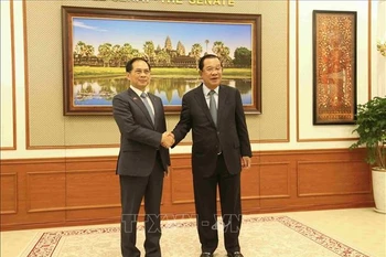 越南政府副总理裴青山与柬埔寨人民党主席、参议院主席洪森亲王。图自越通社