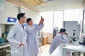 大会文件特别强调了教育培训、科学技术、创新创意和人文建设作为提升竞争力且推动可持续发展的核心动力作用。图自越通社