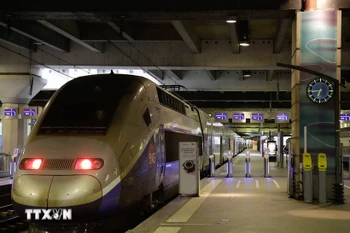 铁路领域被确定为越法重要的优先合作事项之一。图自越通社