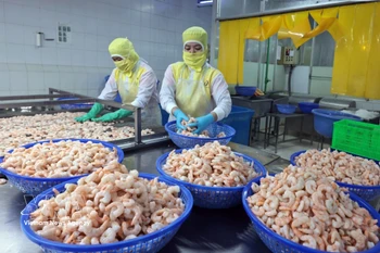 资料图。图自越通社