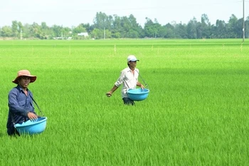 中东冲突对农业，特别是肥料供应产生巨大影响。图自互联网