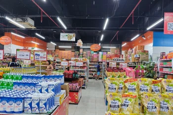 越南消费者的信心得益于2025年上半年令人印象深刻的宏观经济增长态势，其中国内生产总值（GDP）同比增长7.52%——为2011年以来同期最高水平。图自越通社