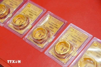 资料图。图自越通社