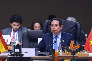 范明政在全体会议上发言。图自越通社