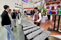 参观者在同奈省旅游展位欣赏石琴演奏。图自越通社