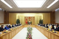 越南政府总理范明政与瑞士及欧洲企业代表团举行工作会谈