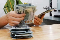 附图 图自Vietnam+