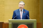 越共中央总书记苏林发表讲话 图自越通社