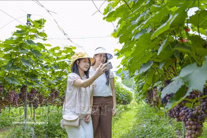 越南旅游的“绿色”方向。图自越通社