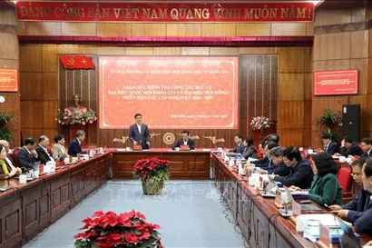 工作会谈场景。图自越通社