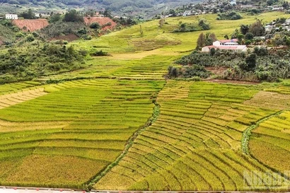 新广义省地域辽阔，从高山、边境到海岛，山海相连，风光壮丽，为将旅游业打造成为新阶段经济增长的重要动力奠定了坚实基础。图自人民报