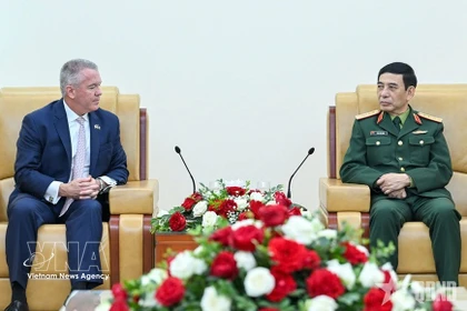 会见场景 图自越通社