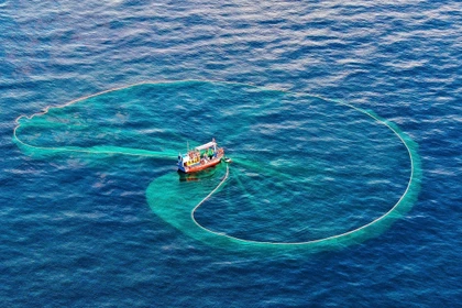 全力解除 IUU“黄牌”：迈向负责任的渔业发展 