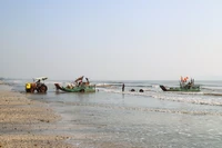 乂安省渔民迎来花蟹丰收季