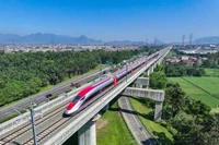 附图。图自thanhnien.vn