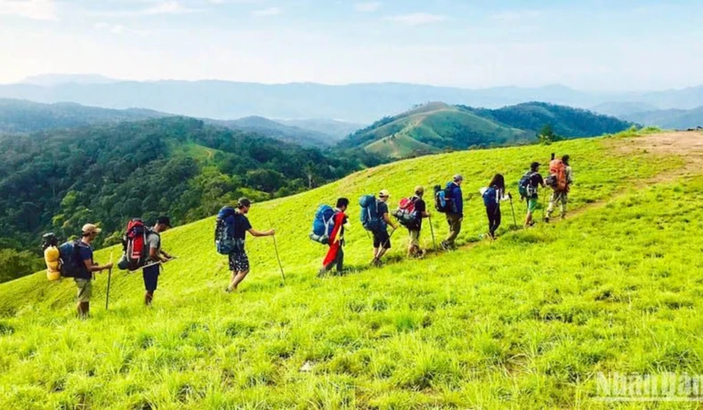 外国游客参加越南的徒步旅游线路。图自nhandan.vn