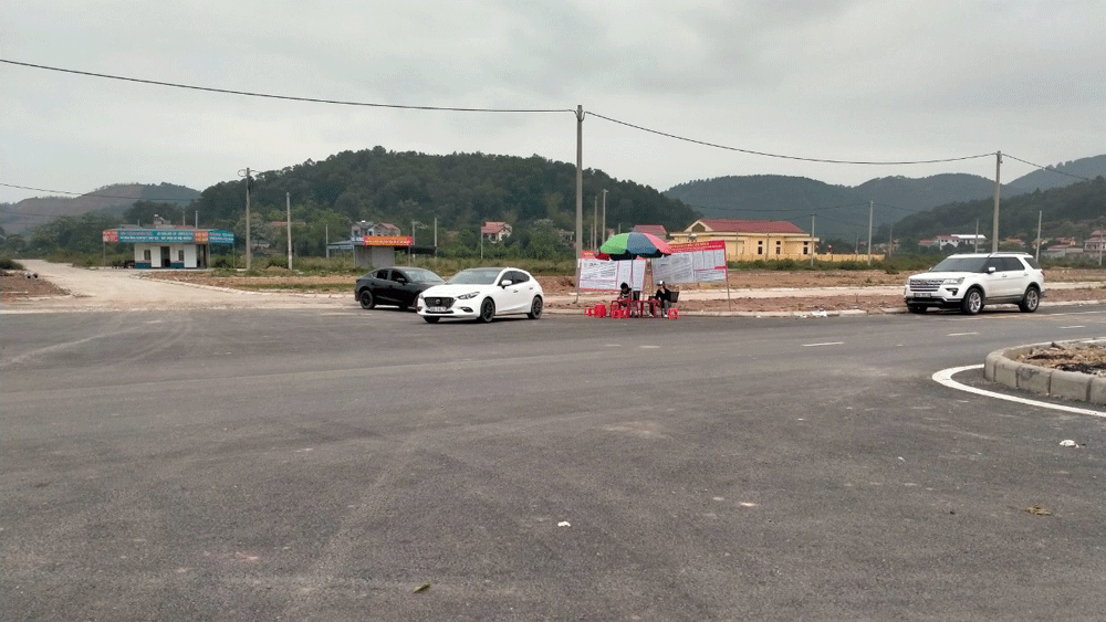 北江省加强土地违法行为处置工作 ảnh 1