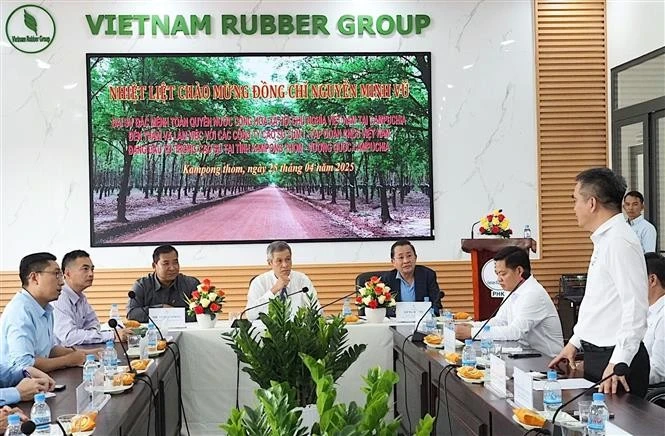 4月25日,越南驻柬埔寨王国大使阮明宇与越南橡胶工业集团(VRG)部分橡胶企业举行工作会谈。图自越通社