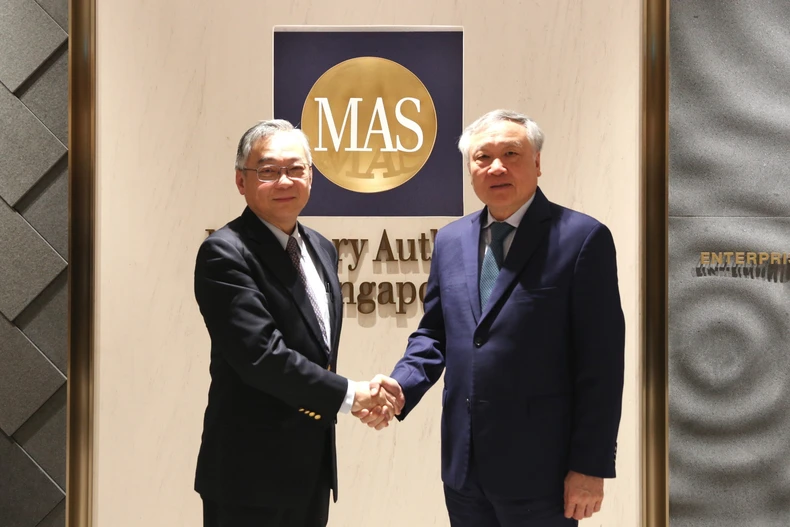 越南政府常务副总理张和平与新加坡副总理颜金勇。图自越通社