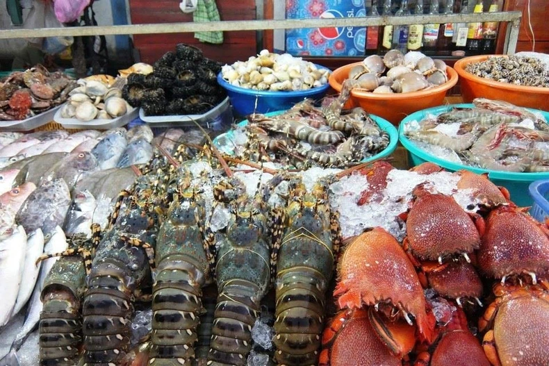 附图 图自互联网