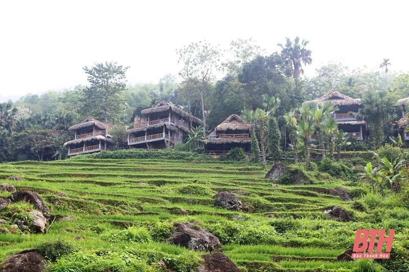 清化省在自然保护区和国家公园加大旅游开发力度 | Vietnam+ (VietnamPlus)