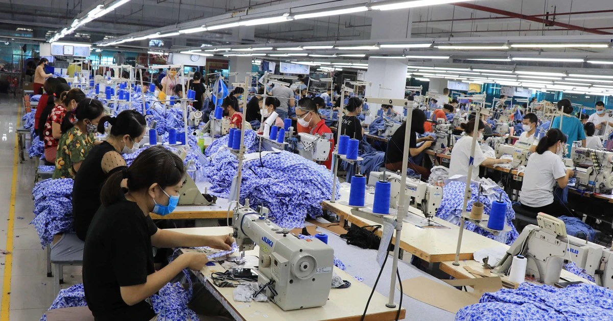 清化省新成立企业数量领先中北部地区 | Vietnam+ (VietnamPlus)