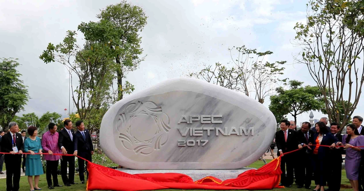 2017年APEC会议：代表们在APEC公园参观游览 兴致勃勃 | Vietnam+ (VietnamPlus)
