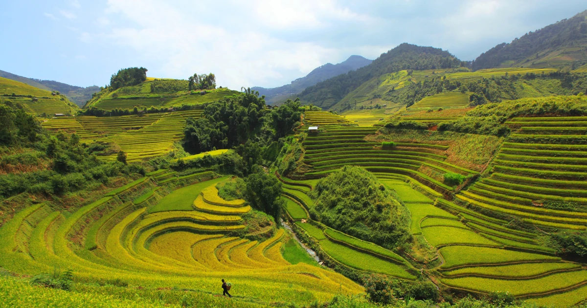 越南清化省梦幻秘境——浦良自然保护区 | Vietnam+ (VietnamPlus)