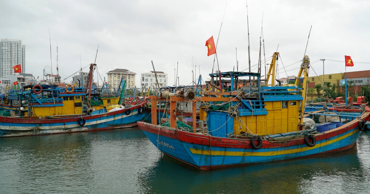 不符合作业要求的渔船不许出海捕捞。（图片来源：越通社）