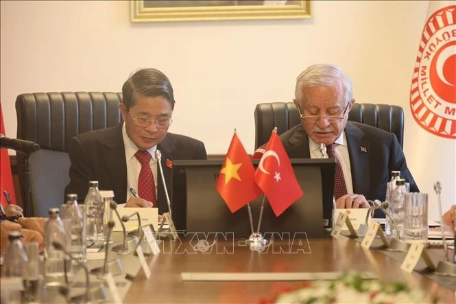 越共中央委员、国会副主席阮德海与土耳其国会副议长切拉尔·阿丹举行会谈。（图片来源：越通社）