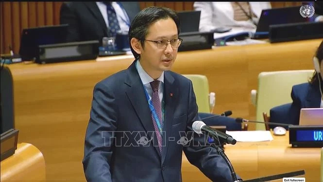 越南常驻联合国代表团团长杜雄越大使。