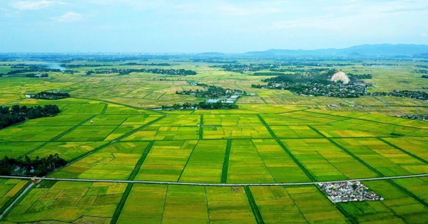 附图。