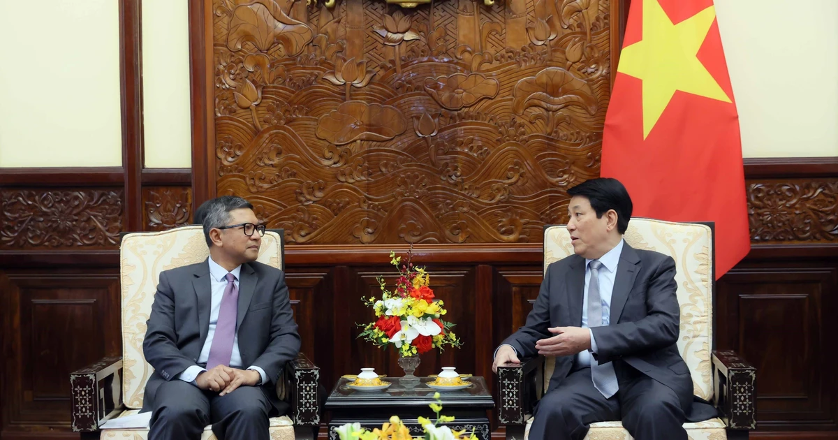 越南国家主席梁强会见印尼驻越大使丹尼•阿卜迪。(图片来源:越通社)