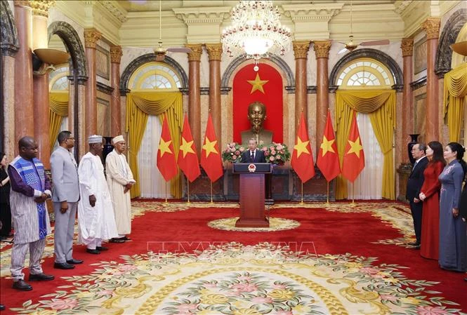 越共中央总书记、国家主席苏林接受多国大使递交的国书 | Vietnam+ (VietnamPlus)