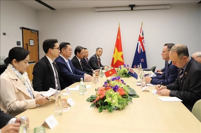 由越共中央政治局委员、书记处书记、中央宣教与民运部长阮重义率领的越南共产党代表团会见新西兰大学事务部长沙恩·雷蒂。（图片来源：越通社）