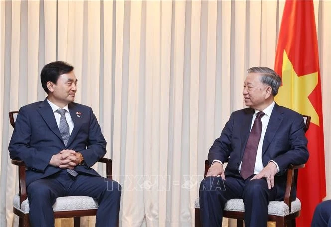 越共中央总书记苏林在韩国首都首尔会见了韩越议员友好小组主席安圭柏。（图片来源：越通社）