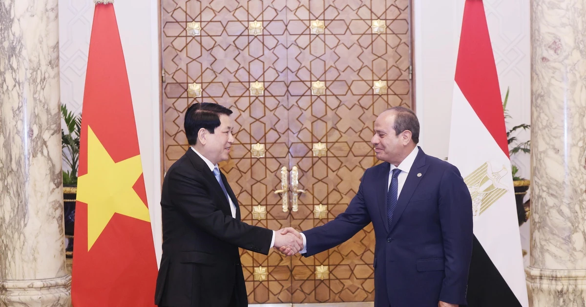 越南国家主席梁强与埃及总统阿卜杜勒·法塔赫·塞西。（图片来源：越通社）