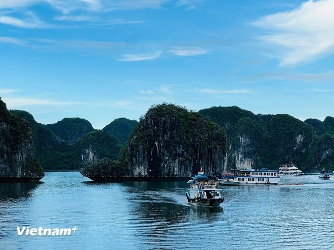在“蓝湾58号”游船翻覆事故发生后，广宁海洋旅游需完善安全流程。（图片来源：越通社）