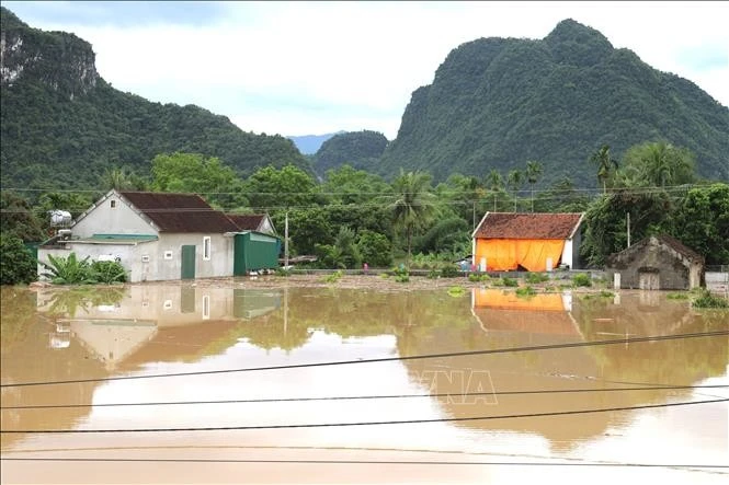 义安省大河下游低洼地区洪灾风险预警等级为较高风险