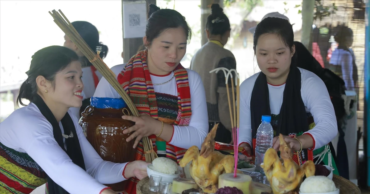 清化傣族人的新米节 | Vietnam+ (VietnamPlus)