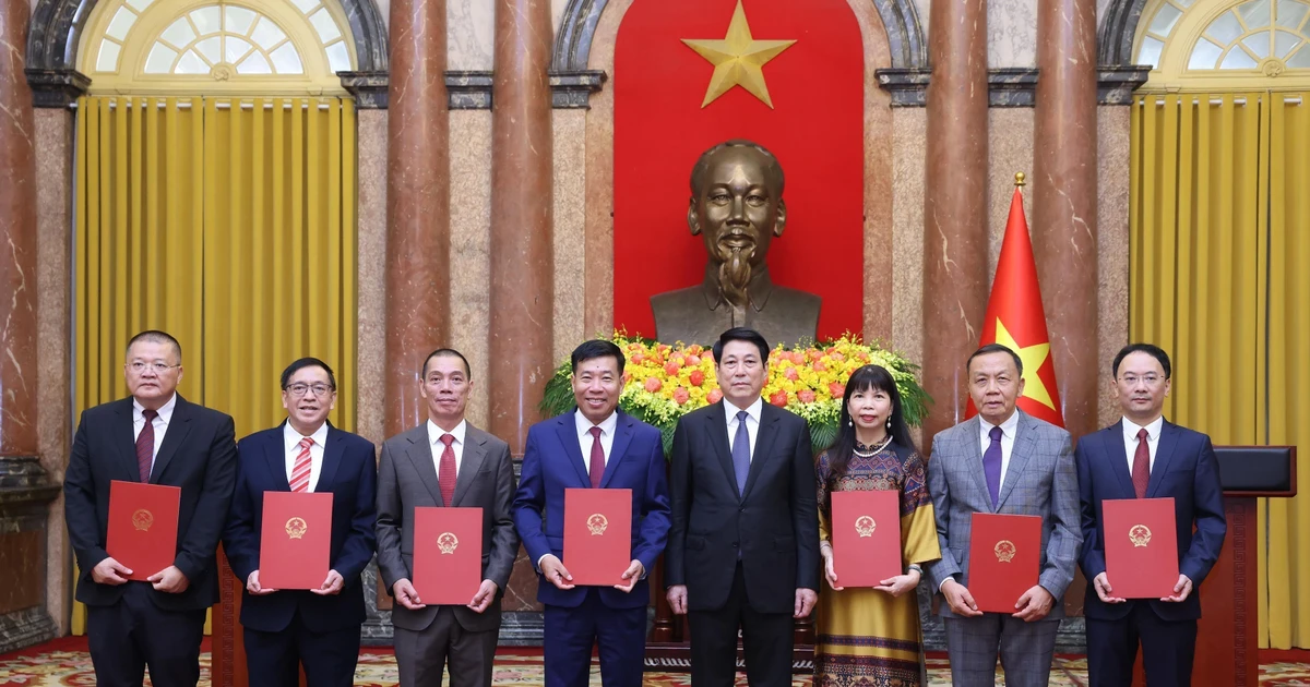 越南国家主席梁强向新任驻外大使颁发任命书 | Vietnam+ (VietnamPlus)