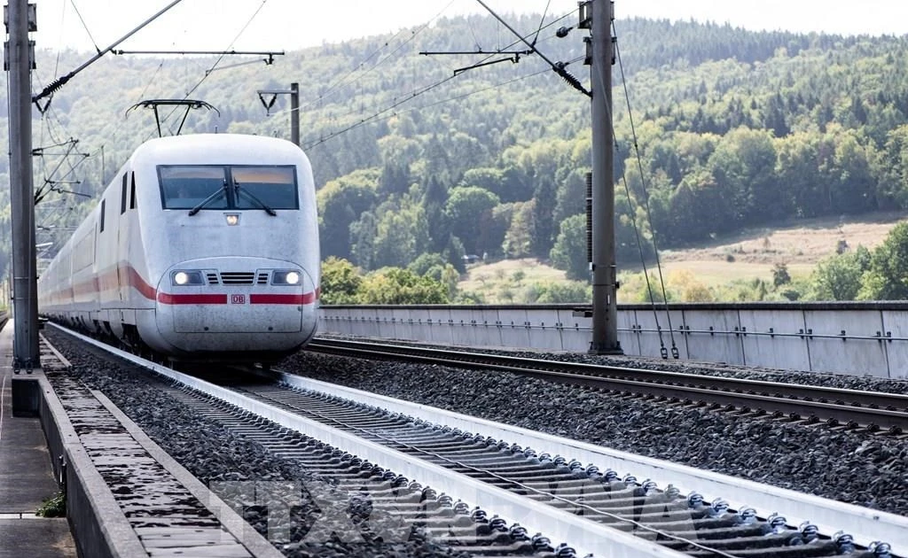 附图。（图片来源：越通社）