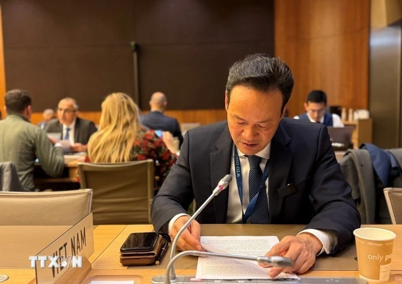 越南常驻代表团团长梅潘勇大使在会上发言。（图片来源：越通社）