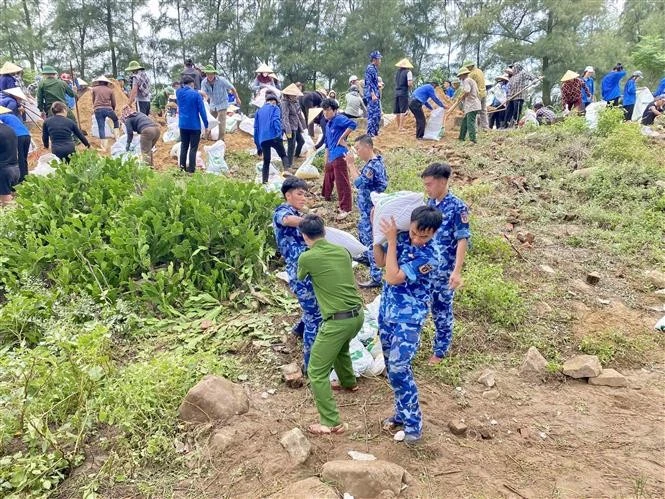 河静省调集数百名士兵、海警和当地民众，紧急加固堤坝系统。（图片来源：越通社）